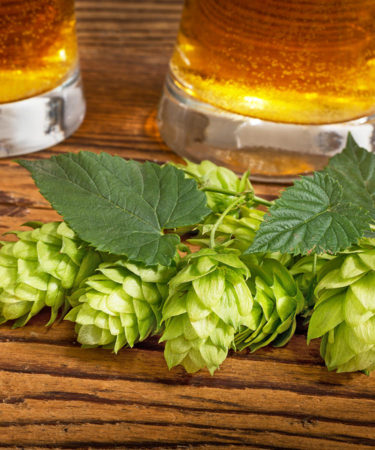 Hop Take: Beer Losing Market Share, Hops Losing Homes, Ballast Point Winning Life