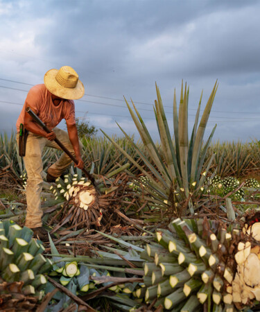 Tequila Matchmaker’s Additive Free Alliance Relaunches as Independent Nonprofit, Expands Reach