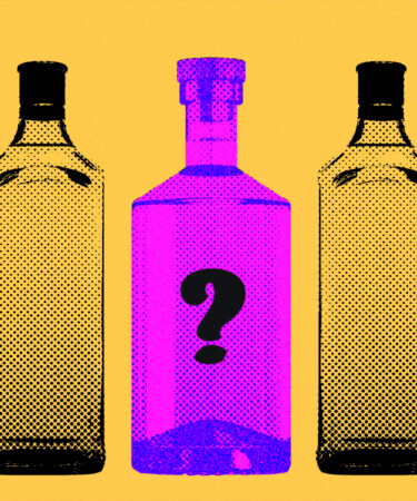 We Asked 14 Bartenders: What’s the Best New Gin That’s Earned a Spot on Your Bar? (2024)