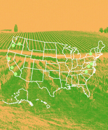 We Asked 8 Wine Pros: What’s the Most Underrated American Wine Region? (2024)